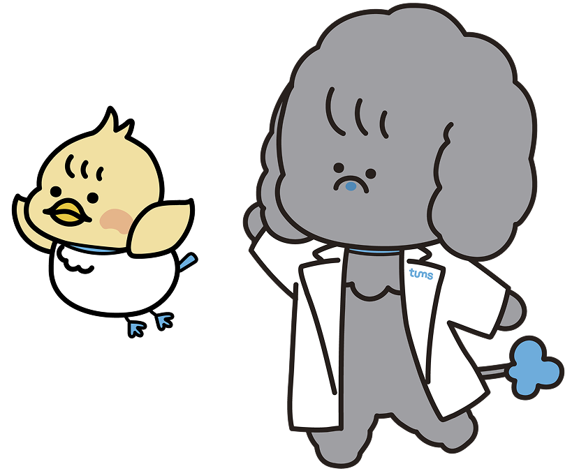 タムちゃんとムースくん